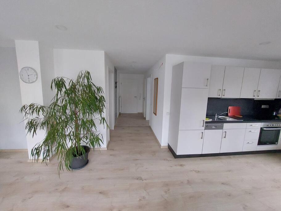 Ferienwohnung Koenigsquelle Bad Wildungen Dış mekan fotoğraf